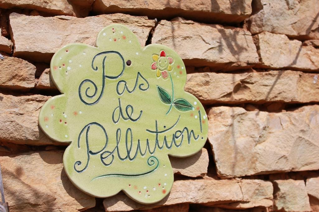 La Bicyclette Fleurie Bed & Breakfast Villemoirieu Luaran gambar